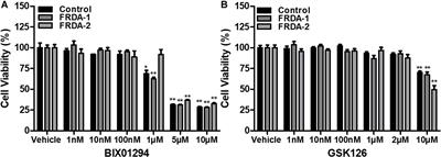 HMTase Inhibitors as a Potential Epigenetic-Based Therapeutic Approach for Friedreich’s Ataxia